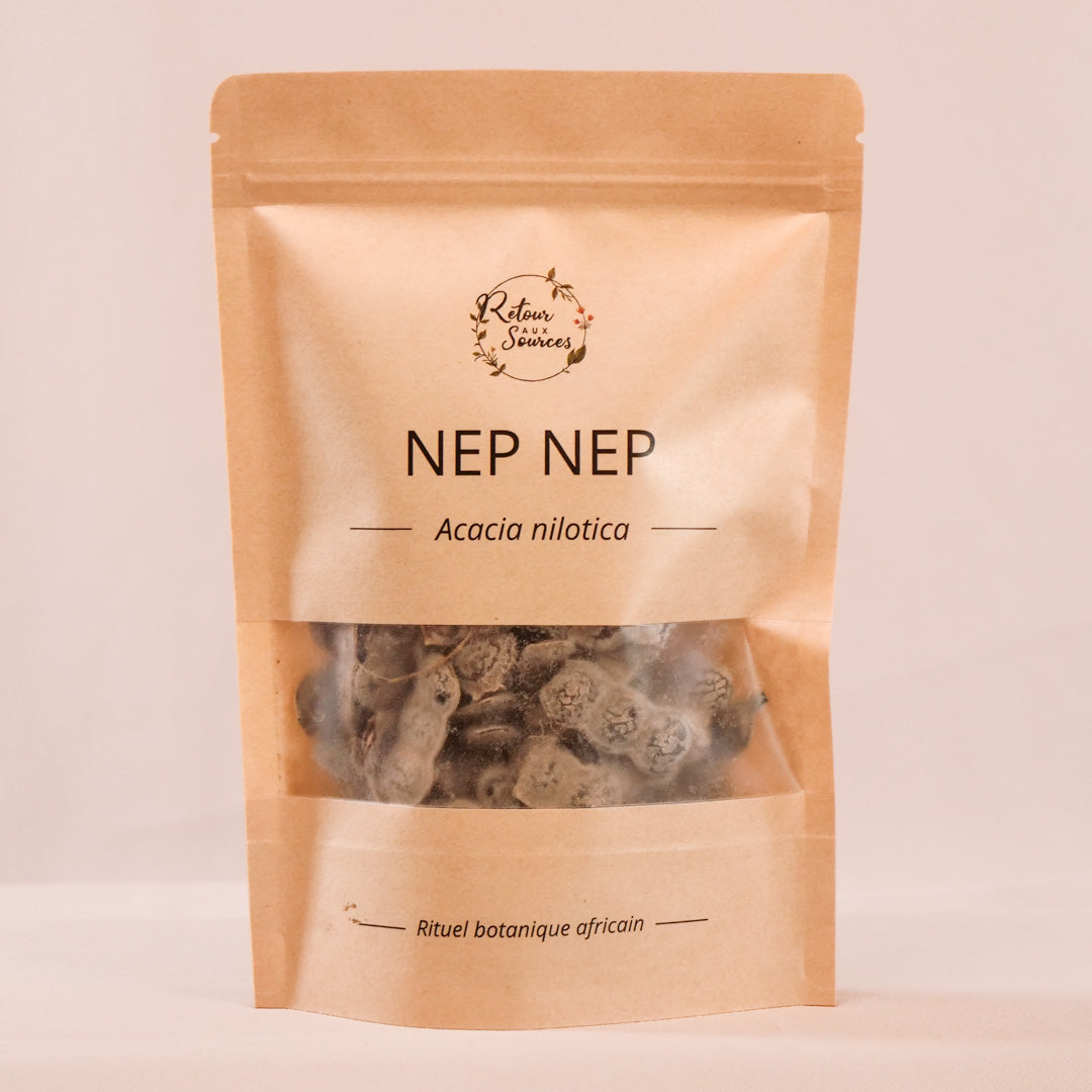 Nep nep - Graines d'Acacia Nilotica