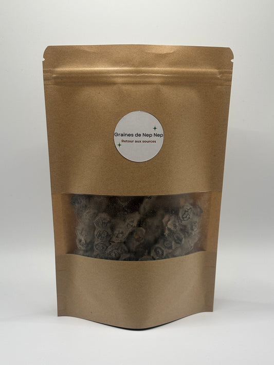 Nep nep - Graines d'Acacia Nilotica