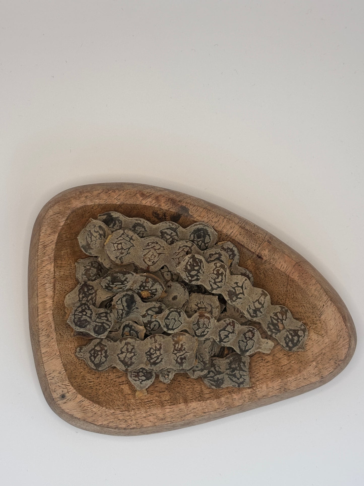 Nep nep - Graines d'Acacia Nilotica